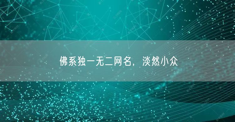 佛系独一无二网名，淡然小众