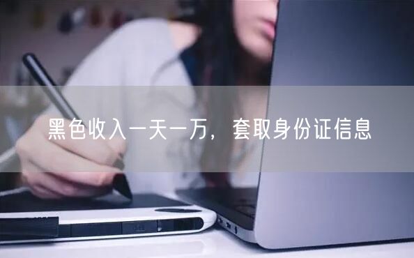 黑色收入一天一万，套取身份证信息
