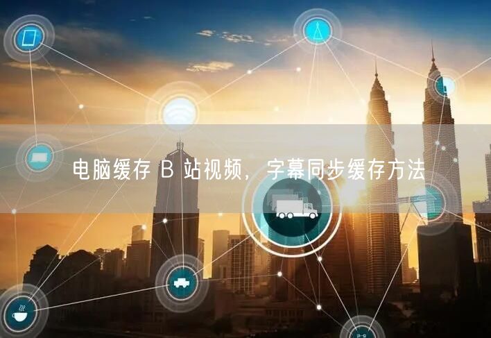 电脑缓存 B 站视频，字幕同步缓存方法