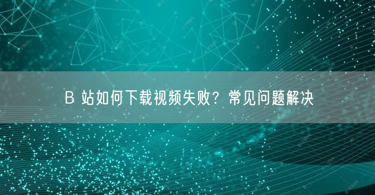 B 站如何下载视频失败？常见问题解决