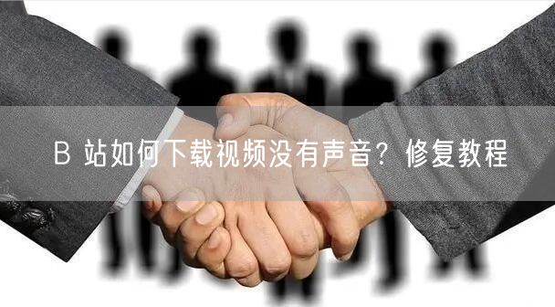 B 站如何下载视频没有声音？修复教程