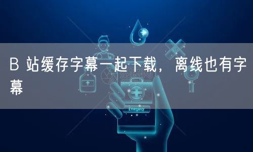 B 站缓存字幕一起下载，离线也有字幕
